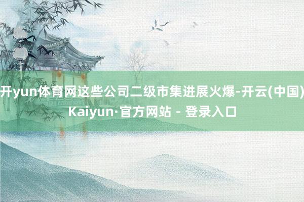 开yun体育网这些公司二级市集进展火爆-开云(中国)Kaiyun·官方网站 - 登录入口